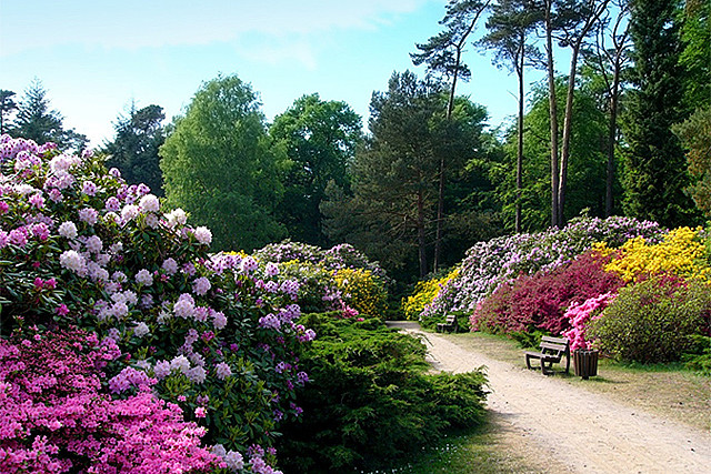 Rhododendronpark Graal Müritz