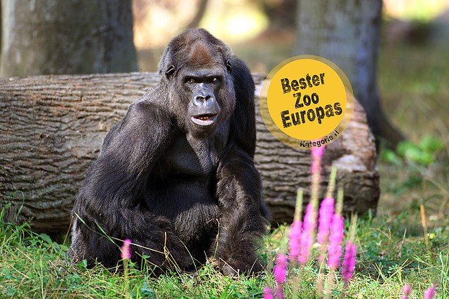 Zoo Rostock