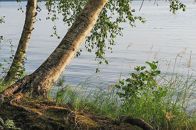 Neu Heindener See