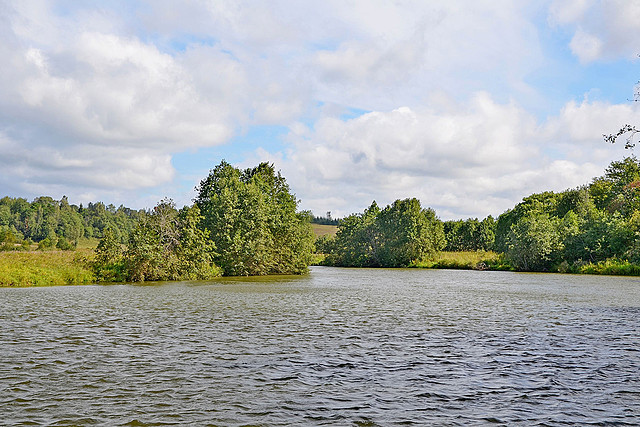 Groß Tessiner See, Jürgenshagen