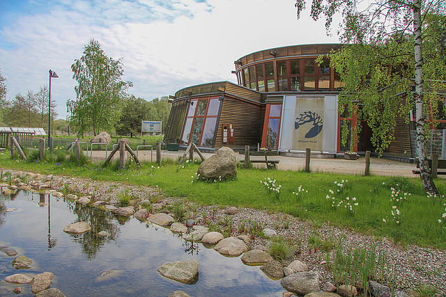 Wildpark-MV Güstrow